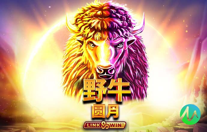 bobty官网登录app